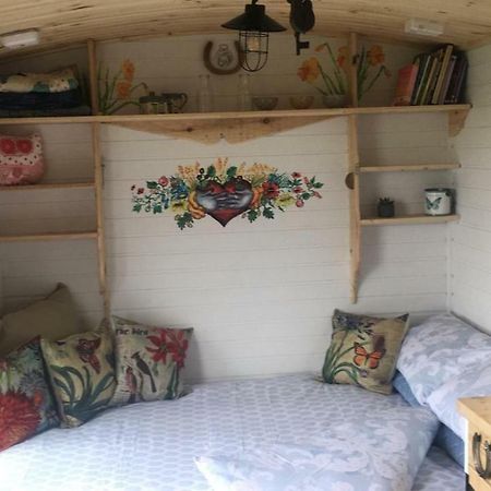 Clydesdale Shepherds Hut 호텔 벨파스트 외부 사진