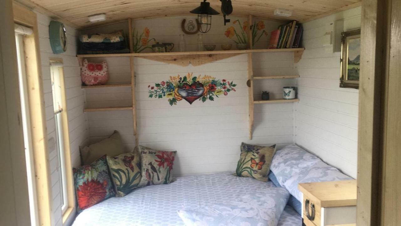 Clydesdale Shepherds Hut 호텔 벨파스트 외부 사진